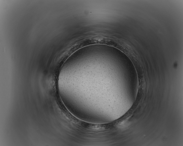 X0000089930754200707061039