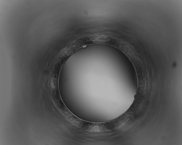 X0000089930755200707061039