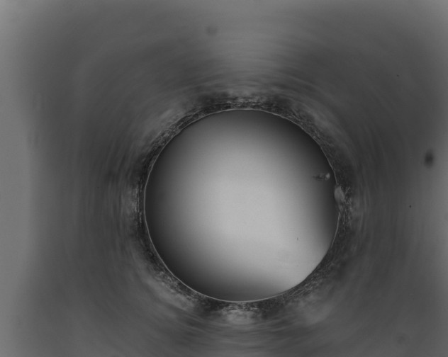 X0000089930756200707061039