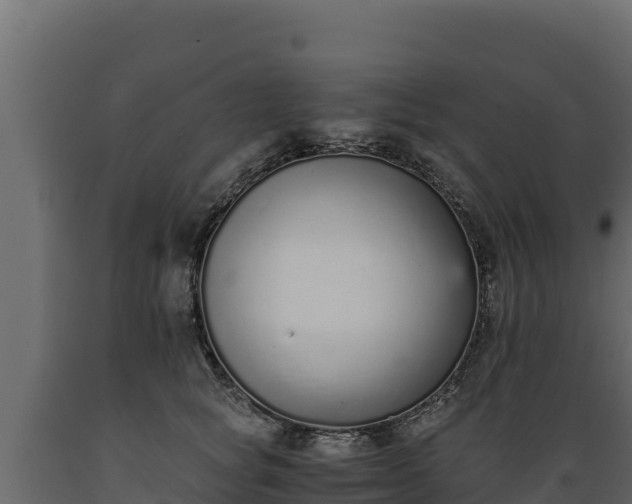 X0000089930757200707061039