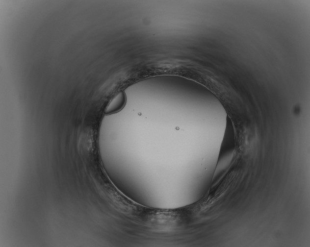 X0000089930758200707061039