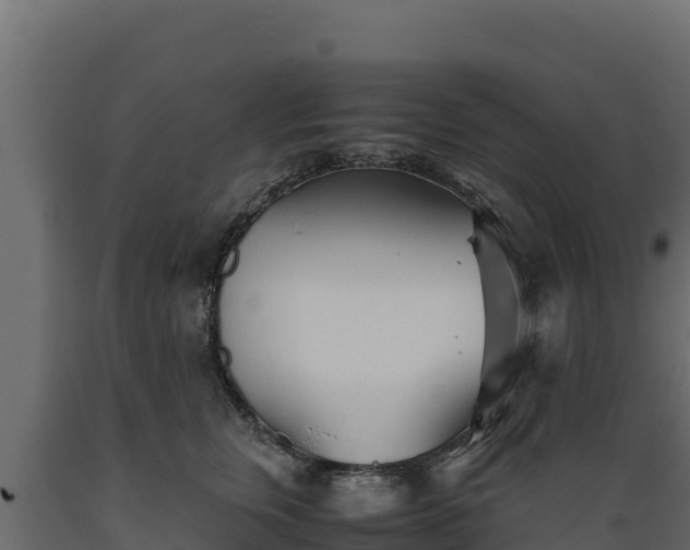 X0000089930759200707061039