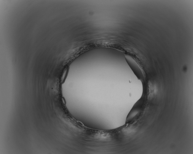 X0000089930760200707061039