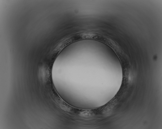 X0000089930761200707061039