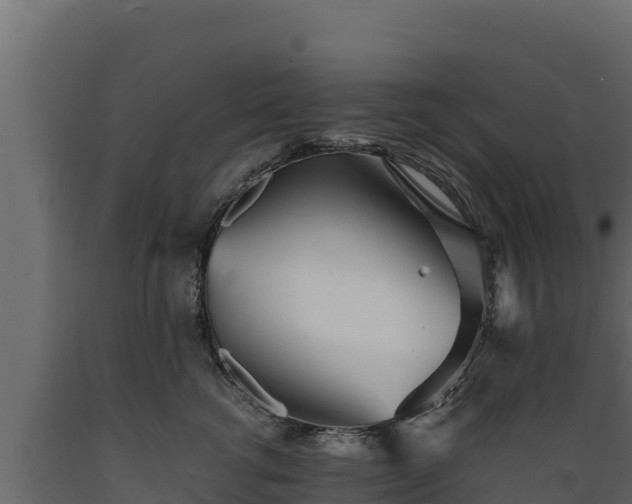 X0000089930762200707061039