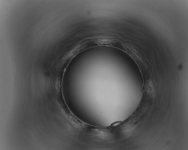 X0000089930763200707061039