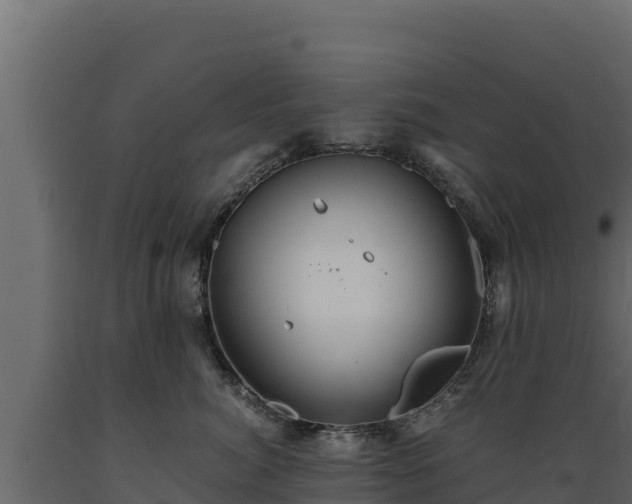 X0000089930764200707061039