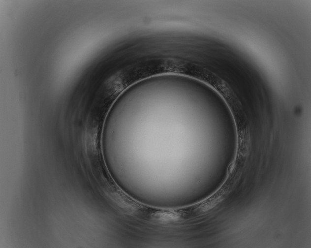 X0000089930765200707061039