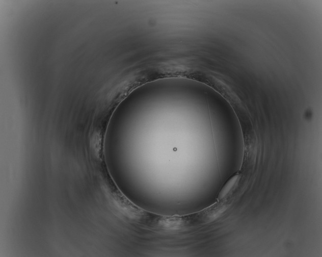 X0000089930767200707061039