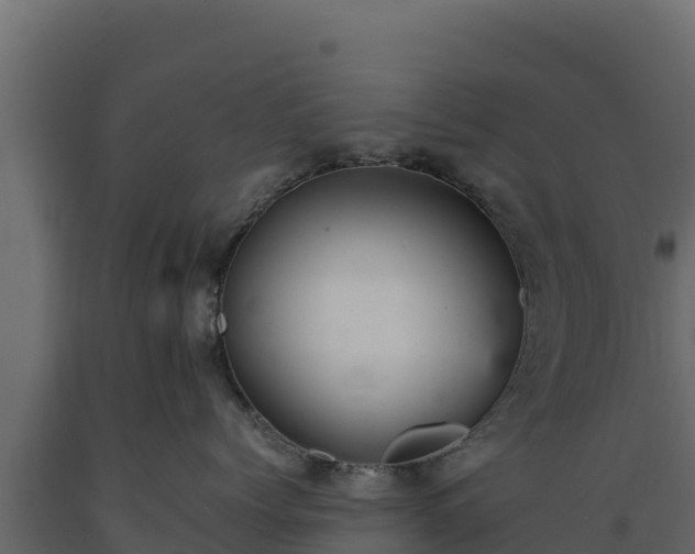 X0000089930768200707061039