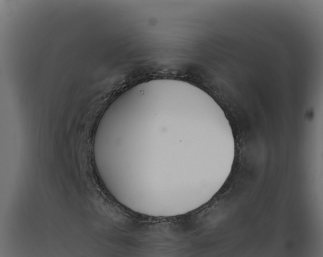 X0000089930769200707061039