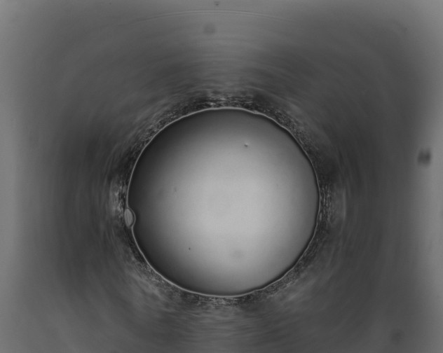 X0000089930770200707061039