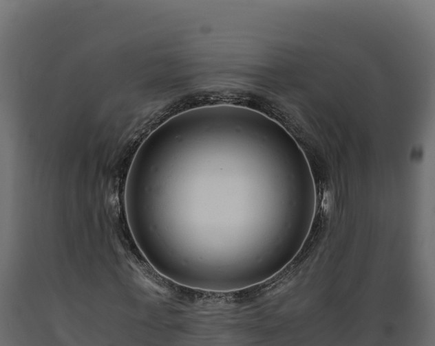 X0000089930771200707061039