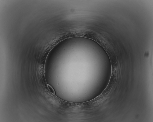 X0000089930772200707061039