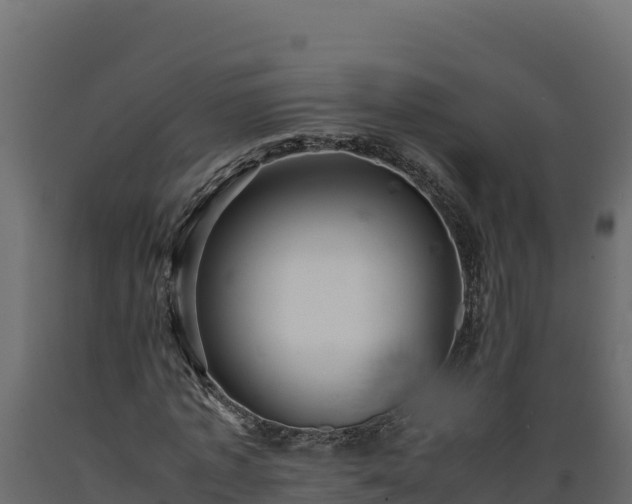 X0000089930773200707061039