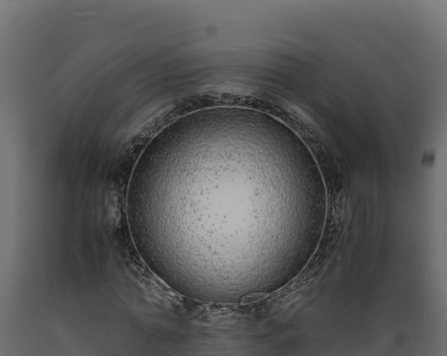 X0000089930774200707061039