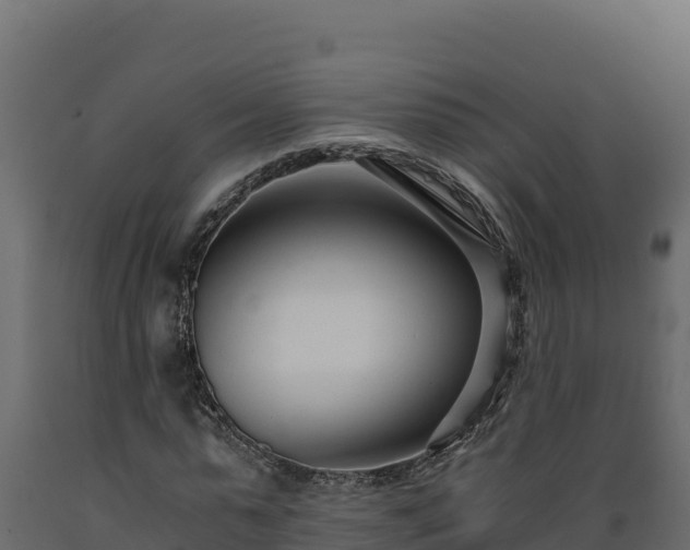 X0000089930775200707061039