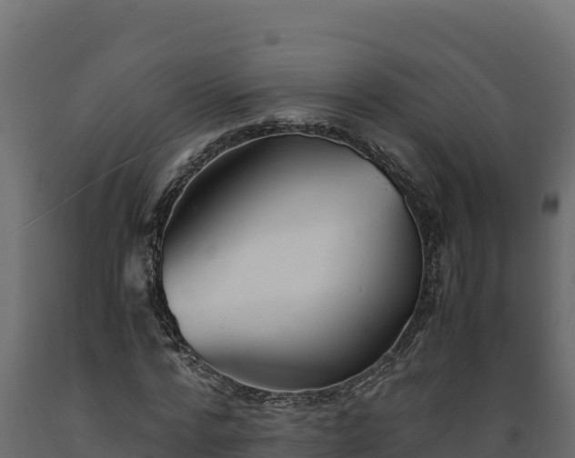 X0000089930776200707061039