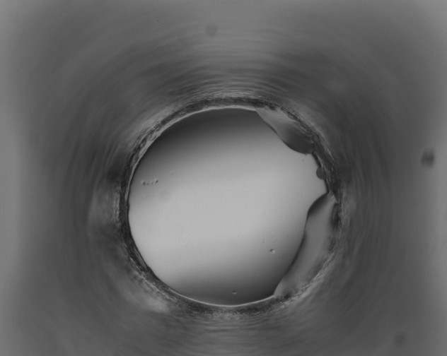 X0000089930777200707061039