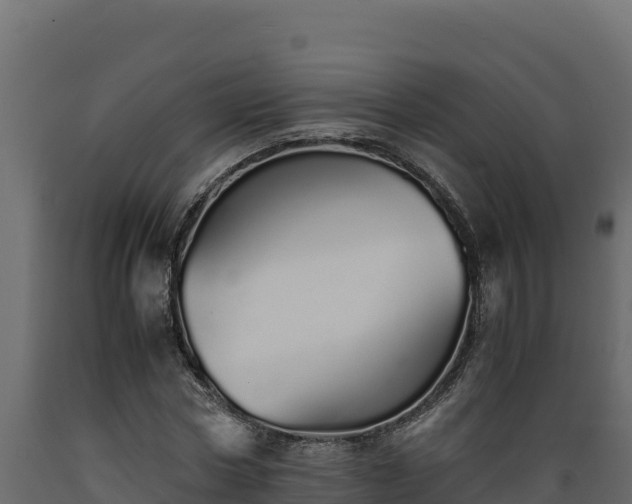 X0000089930778200707061039