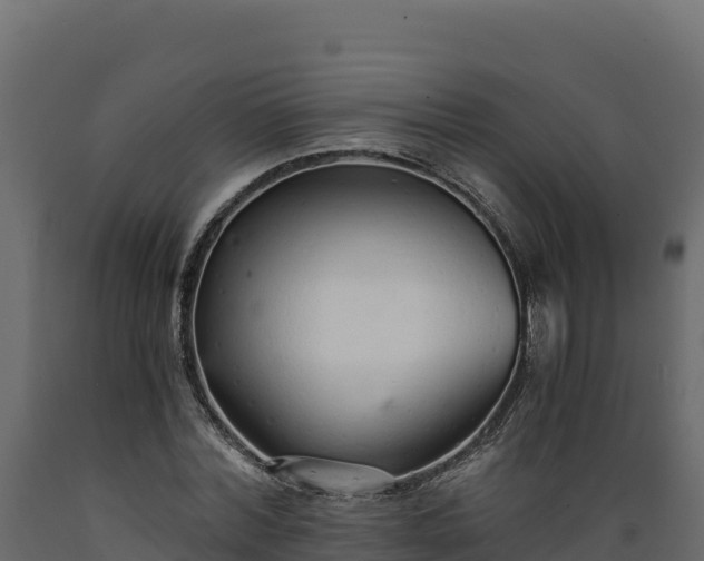 X0000089930780200707061039