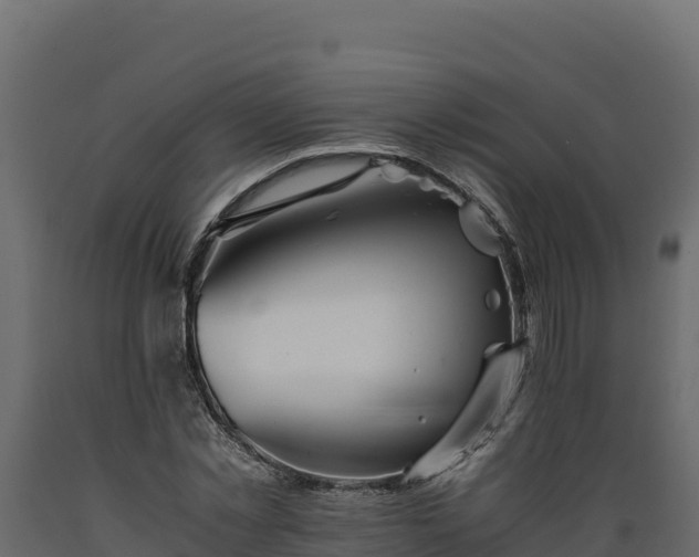 X0000089930781200707061039