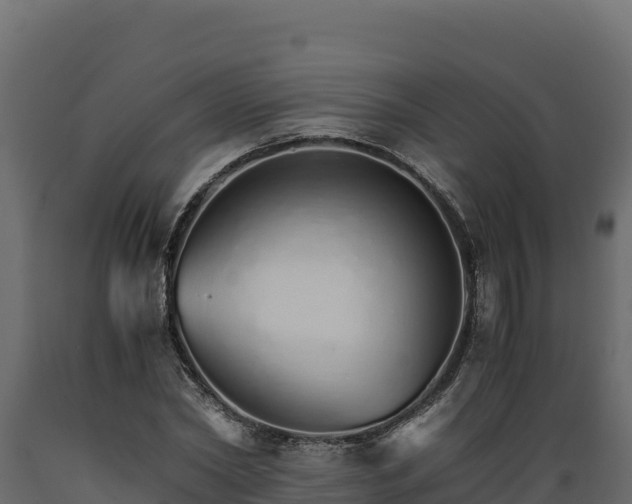 X0000089930782200707061039