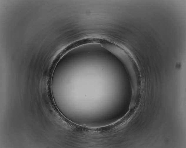 X0000089930783200707061039