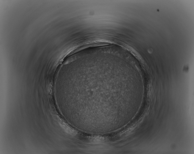 X0000089930785200707061039