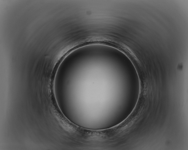 X0000089930786200707061039