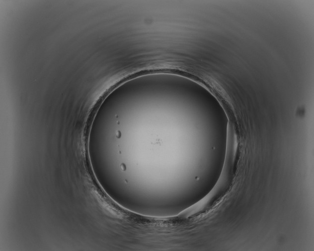 X0000089930789200707061039