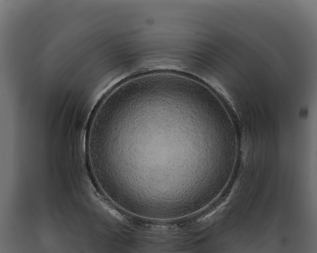 X0000089930790200707061039