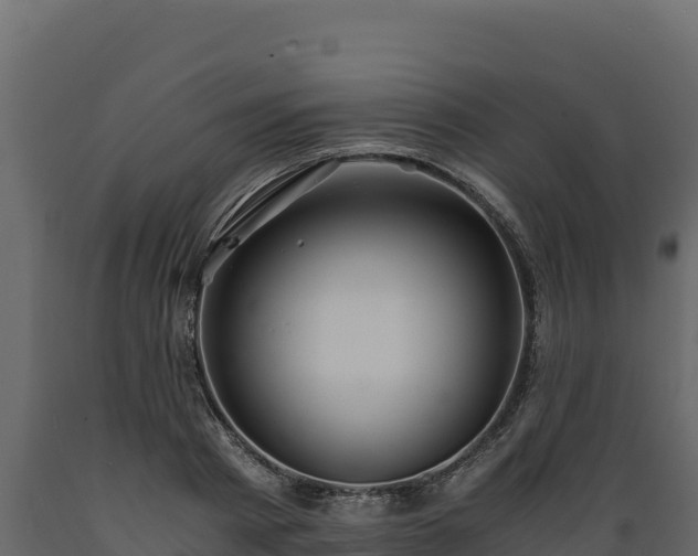 X0000089930793200707061038