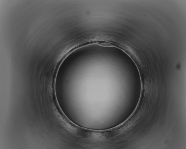 X0000089930794200707061038