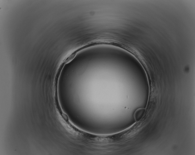 X0000089930795200707061038