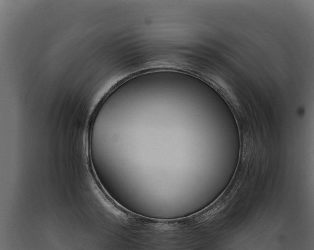 X0000089930796200707061038