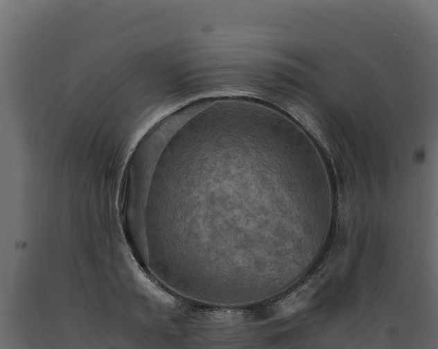 X0000089930797200707061038