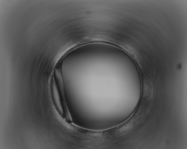 X0000089930798200707061038