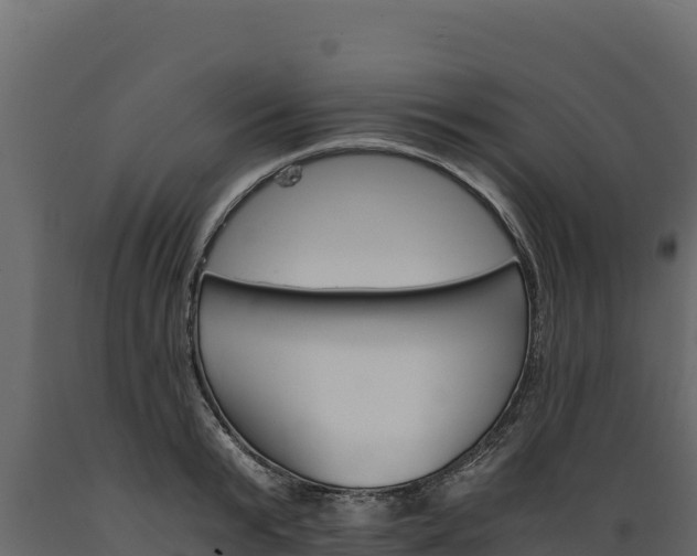 X0000089930799200707061038