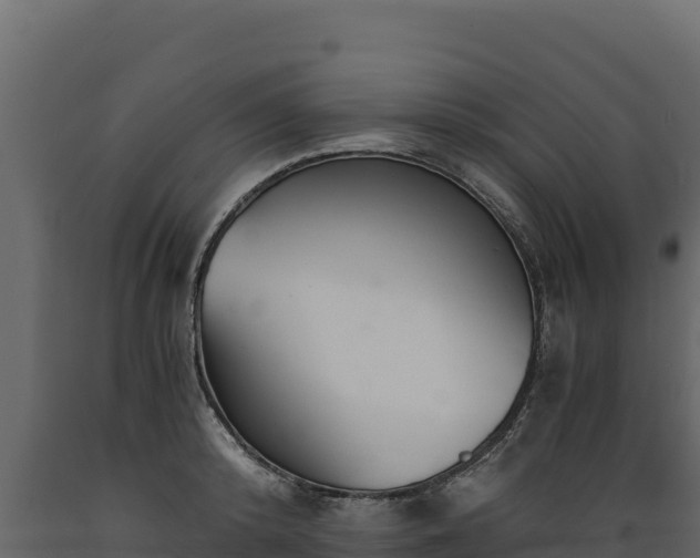 X0000089930800200707061038