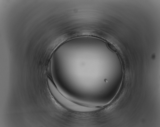 X0000089930801200707061038