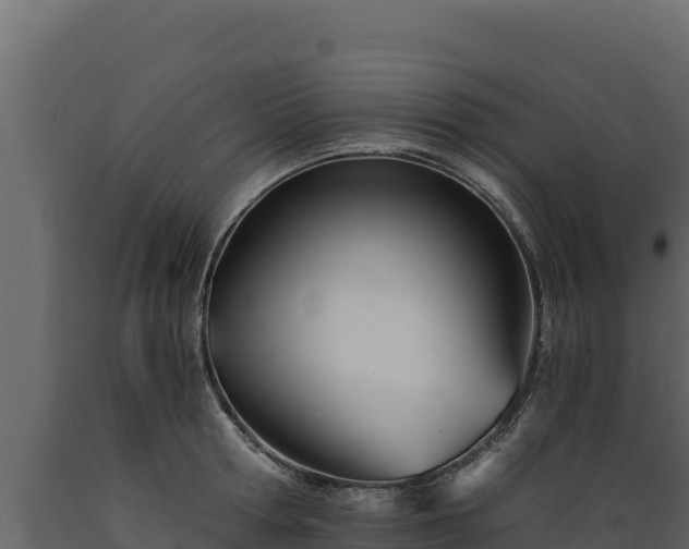 X0000089930802200707061038