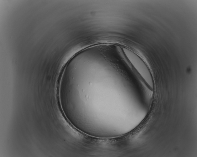 X0000089930803200707061038