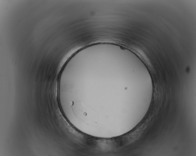 X0000089930804200707061038