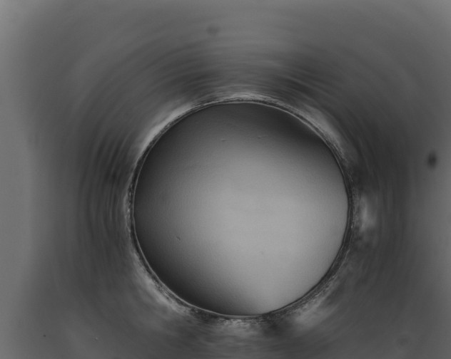 X0000089930806200707061038