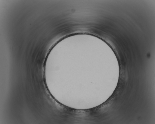 X0000089930807200707061038