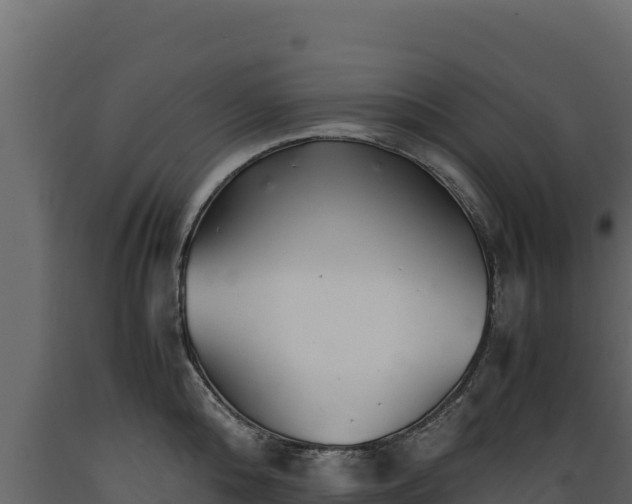 X0000089930808200707061038