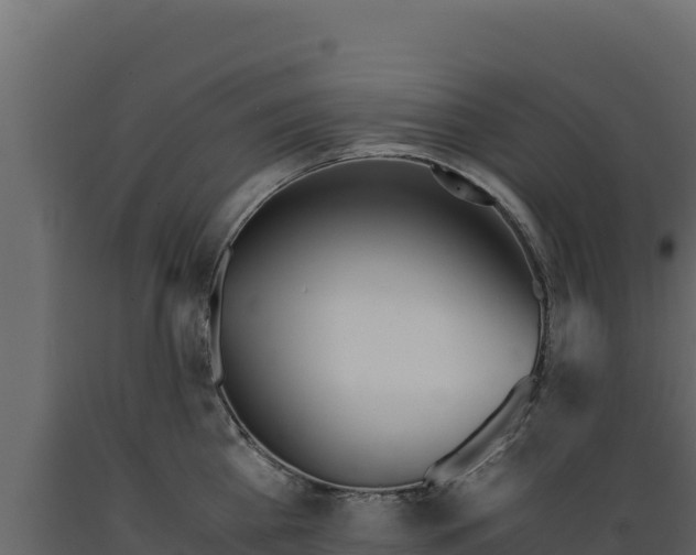 X0000089930809200707061038