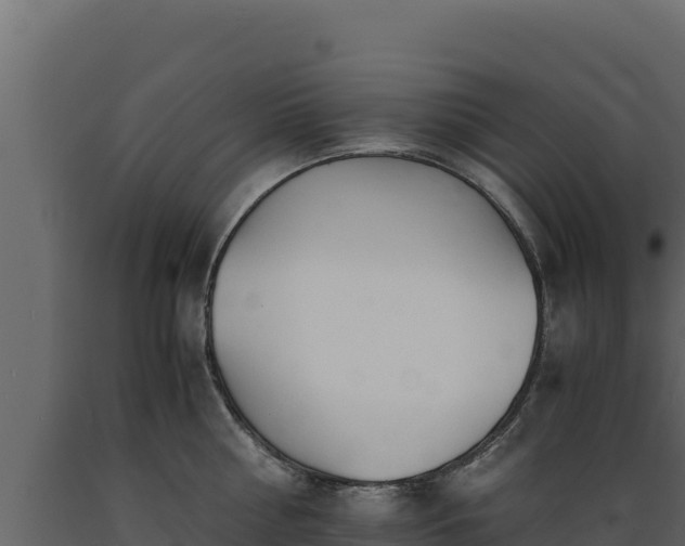 X0000089930810200707061038