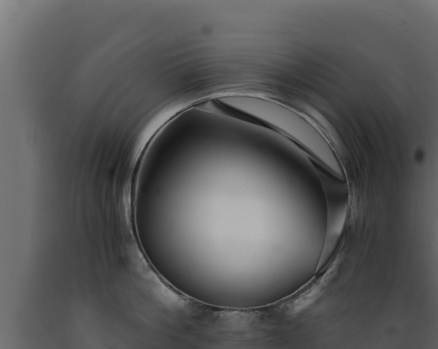 X0000089930812200707061038